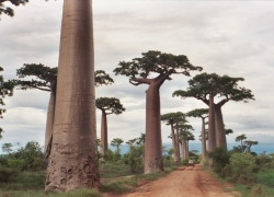 Top Attractions in Madagascar