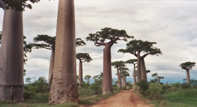 Top Attractions in Madagascar