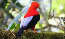 What to do See & Do in Quito, Ecuador