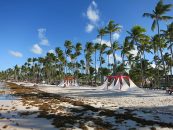Top Attractions in the Dominican Republic